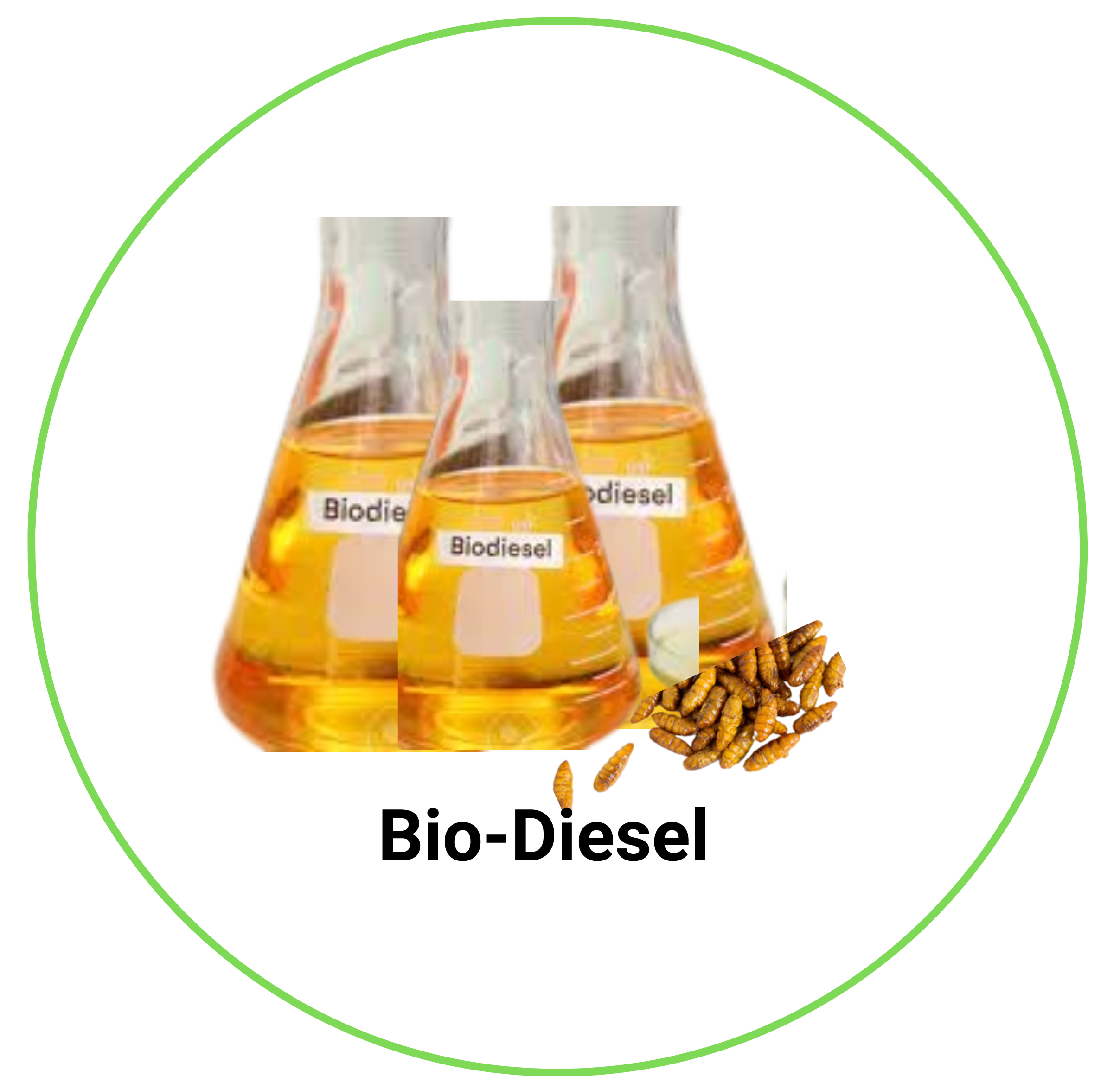 Bio-Diesel