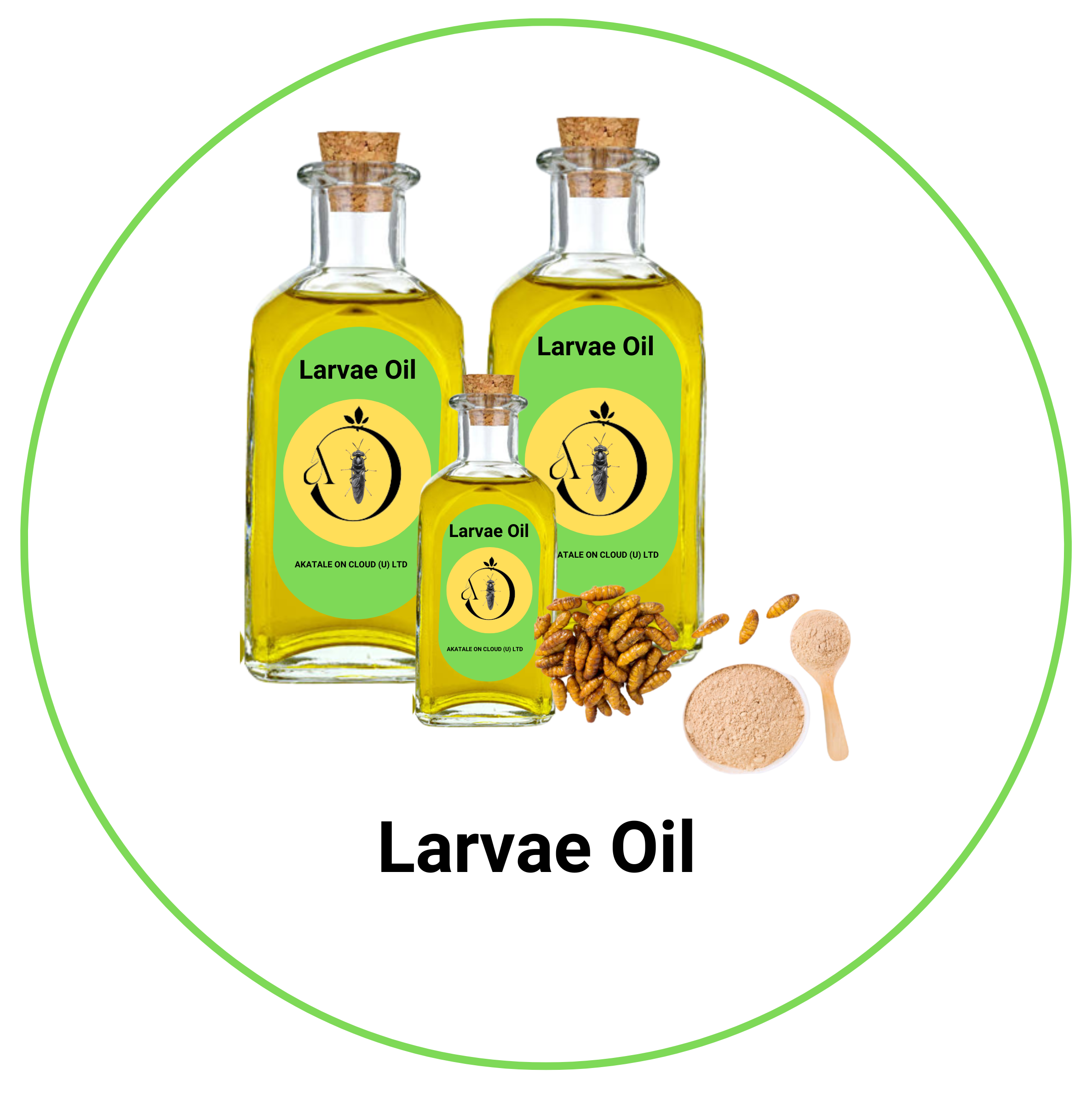 Larvae oil